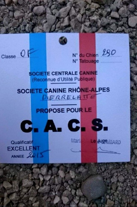 Du Reve Des Gones - CACS PIERRELATTE 2015